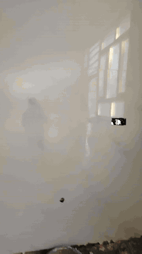 بورسلين هندي • خلفات • حله