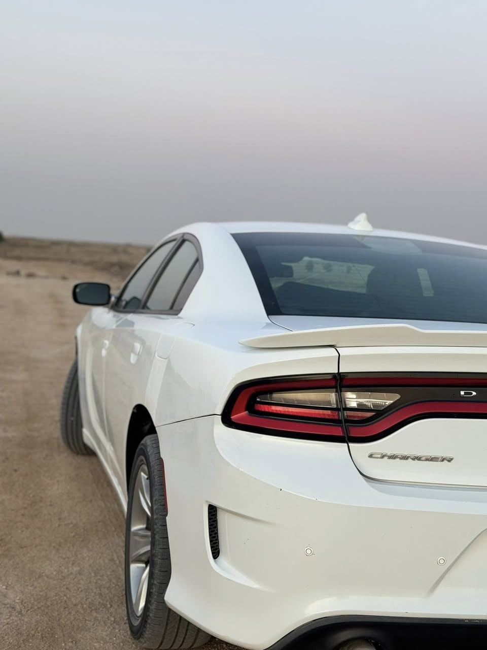 جارجر sXt ٢٠١٥ اصل رقم بغداد الدولي جديد
شاشه كبيره نافيكيشن 

كامره خلفيه دوراه HD

اندرويد اوتو +كار بلي+GPS+امكانيه عرض شاشه الهاتف

تحكمات ستيرن 

مثبت سرعه 

مقاعد جلد لونين

مقاعد تحكم كهربائي

حساس اطارات

تشغيل عن بعد

تبريد ٢قطع 

سبايدر خلفي 

وباقي المواصفات معروفه  

تبديل ٣ قطع  جاملغ ايسر  بنيد باب خلف سايق  

سعر السياره ١٧٥ 

الرقم للاستفسار ***********
