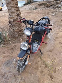 ستوته • معدل • شلعه