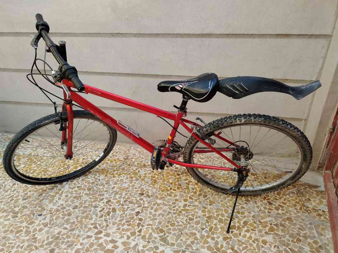 بايسكل للبيع شرط النظافه كلشي ما يعوزو كامل مكمل السعر 50 وبي مجال الشراي يجي خاص


**إذا كنت صاحب هذا الإعلان وتريد حذفه لأي سبب، رجاءا أرسل رسالة إلى الدعم الفني**