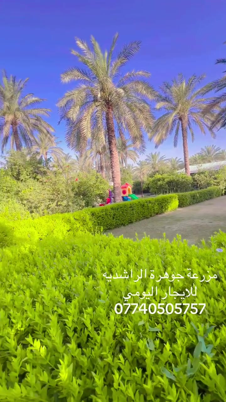 متوفرة مزرعة جوهرة الراشدية كل ايام الاسبوع
***********
