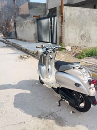 بطه • فحل • محرك بلادي