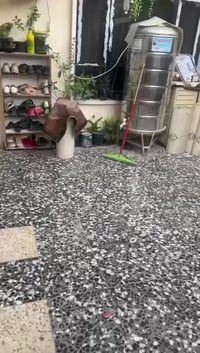 بيت للايجار المساحه 125 /المكان /بغداد الرئاسه مال عبيدي للاستفسار / 0...