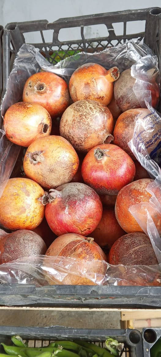 رمضان كريم 
مسواك اليوم 
طماطة 750
خيار 750
بطاطة 500
بصل 500
لهانه 500
شجر 1250
اسود 1250
فاصوليه 2000
باجله 2000
فليفلة 1250
قرنبيط 1250
موز 1250
برتقال 1500
تفاح 1250
يوسفي 1000
***********
