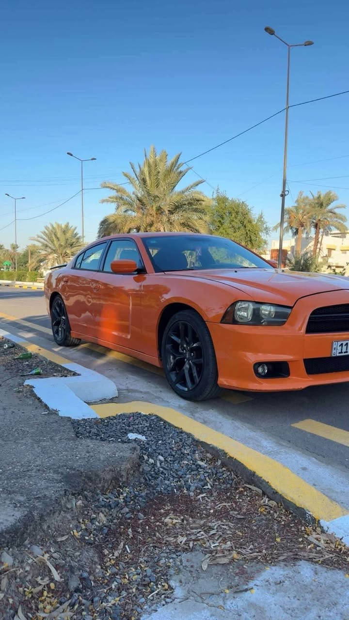 جارجر ١٤ ترهم بيع مرواس النترا فورتي من 20 وفوك وارد كندي بدون حادث فقط صبغ بنيد جاملغ وهنا بلعراق جاملغ خلفي بي بارد لا ايرباك ولا دواخل كفالهالرقم *********** واتساب فقط 
١٤٨ ورقة وبيه مجال

