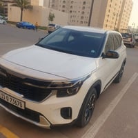 سيلتوس فول • ٢٠٢٥ • مرقمة بغداد