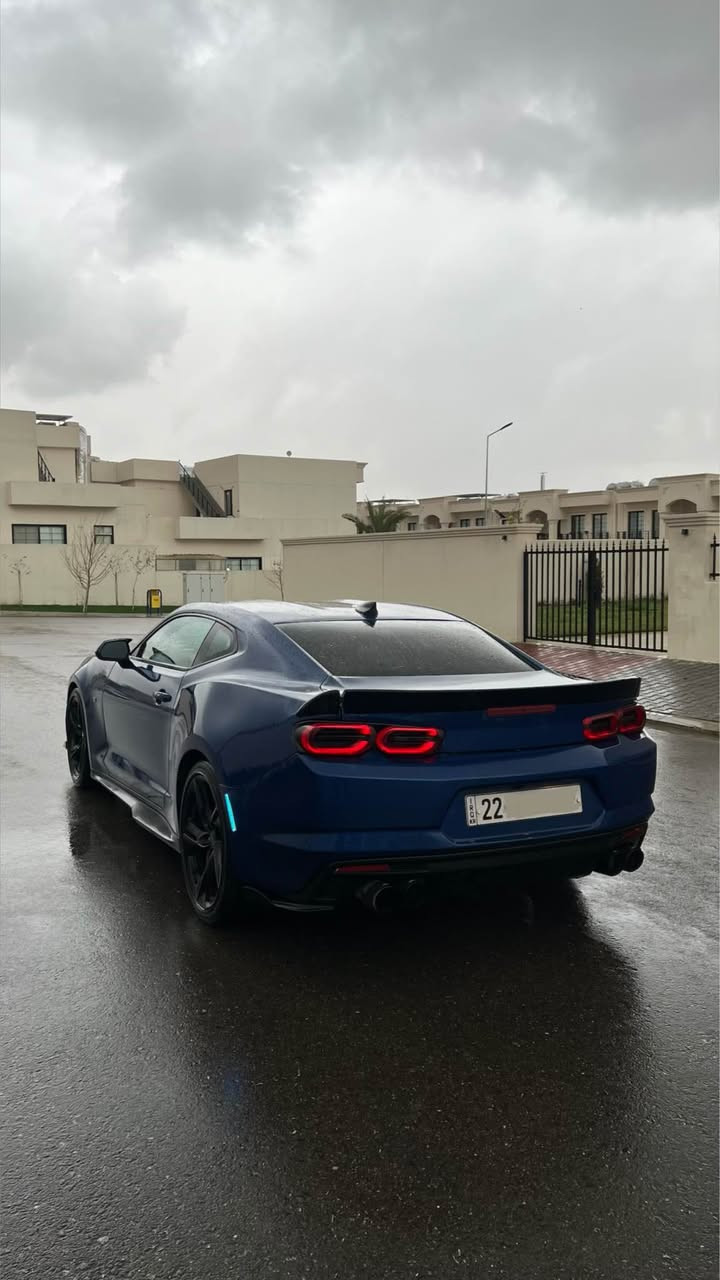 كمارو ٢٠٢٣ 🚀🚀
V6 
نص جاملخ خلفي صبغ يعني قطعة ١ صبغ

بجم كبس 🚗 

بدون ايرباك ❌

V6 - 335 HP - گير ١٠ نمر ✈️ 

كامل محدث SS اكزوز - كت كامل - كيج الكتروني 

سنوية و رقم و هزة كله جديد

ماشي ٣٢ الف

سعر ١٨٥ ورقة و بي مجال 
سيارة نظيفة جدا ايد وحدة

مكان السيارة اربيل أربيل, العراق


**إذا كنت صاحب هذا الإعلان وتريد حذفه لأي سبب، رجاءا أرسل رسالة إلى الدعم الفني**