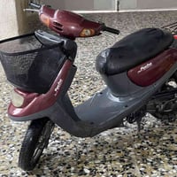 منغولي نظيفة للبيع مجفتة مرة وحدة السعر 450 بيها مجال 07803876126