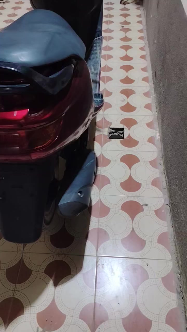 السلام عليكم شباب دراجه فراشه للبيع حاويه
صار لها 10 ايام من طالعه متوفر نقد واقصاد الرافدين
***********
