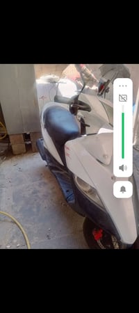 درجة ماكس ثعلب للبيع طافيه مكاني بغداد لبياع للبيع رقمي07843797206