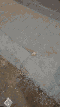 كاونتر مترين ونص وسنك متر ونص 4 قطع السعر650 رقمي07717561296