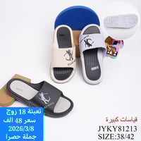 جملة • كراتين ودزينة • فحص بالمندوب