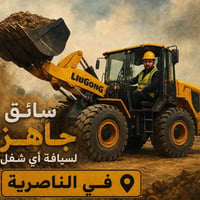 الناصرية • وظائف
