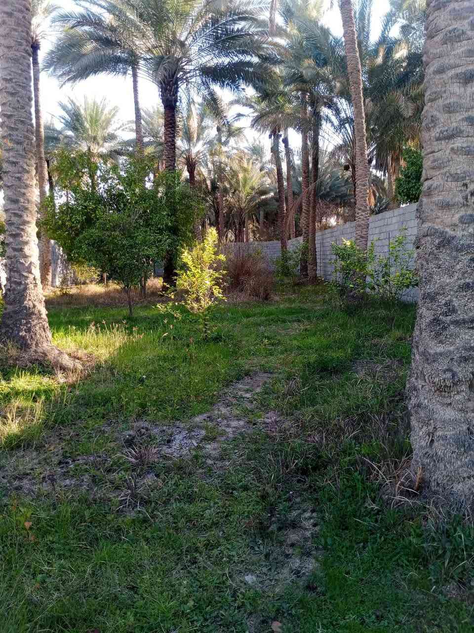 800متر للبيع شارع بغداد مقابيل جامعه وارث الانبياء طابو سند 25 موقع مميز شارع عام خدمات كامله وجه القطعه 16 نزال 50 للاستفسار الاتصال *********** وتساب م
