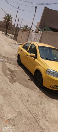 افيو • ٢٠١١ • مكفوله