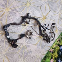 سوناتا • ضفيره • جويتر