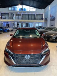 سنترا • ٢٠٢٤ • بدون صبغ