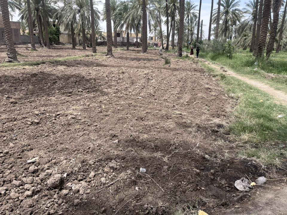 سلام عليكم يوجد ليدينا موقع الأرض الحمزه الغربي شارع الحولي شارع الشط قرب شارع على قماره توجد كافه الخدمات سند الأرض طابو صرف بستان سند عثماني الاستفسار ***********
