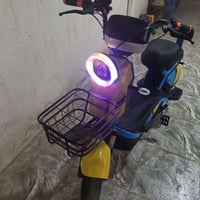 بايسكل شحن • جديد ٢٠٢٥ • المسيب