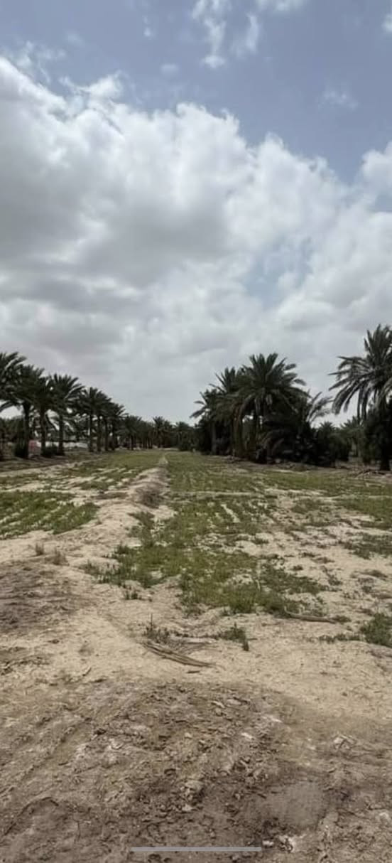 السلام عليكم ارض للبيع المساحه (3) ونص  دوانم سند ( 25 ) تحويل مباشر بأسم المشتري خدمات كامله  من تبليط كرهباء ماء اساله مدارس اعدايه متوسط تصير انشاء معمل او مزرعته او سكن  الموقع طريق حله ديوانية منطقة هوى الشام قبل معمل الغاز الاهلهي للاستفسار الاتصال على الارقام التاليهه
*********** //***********
