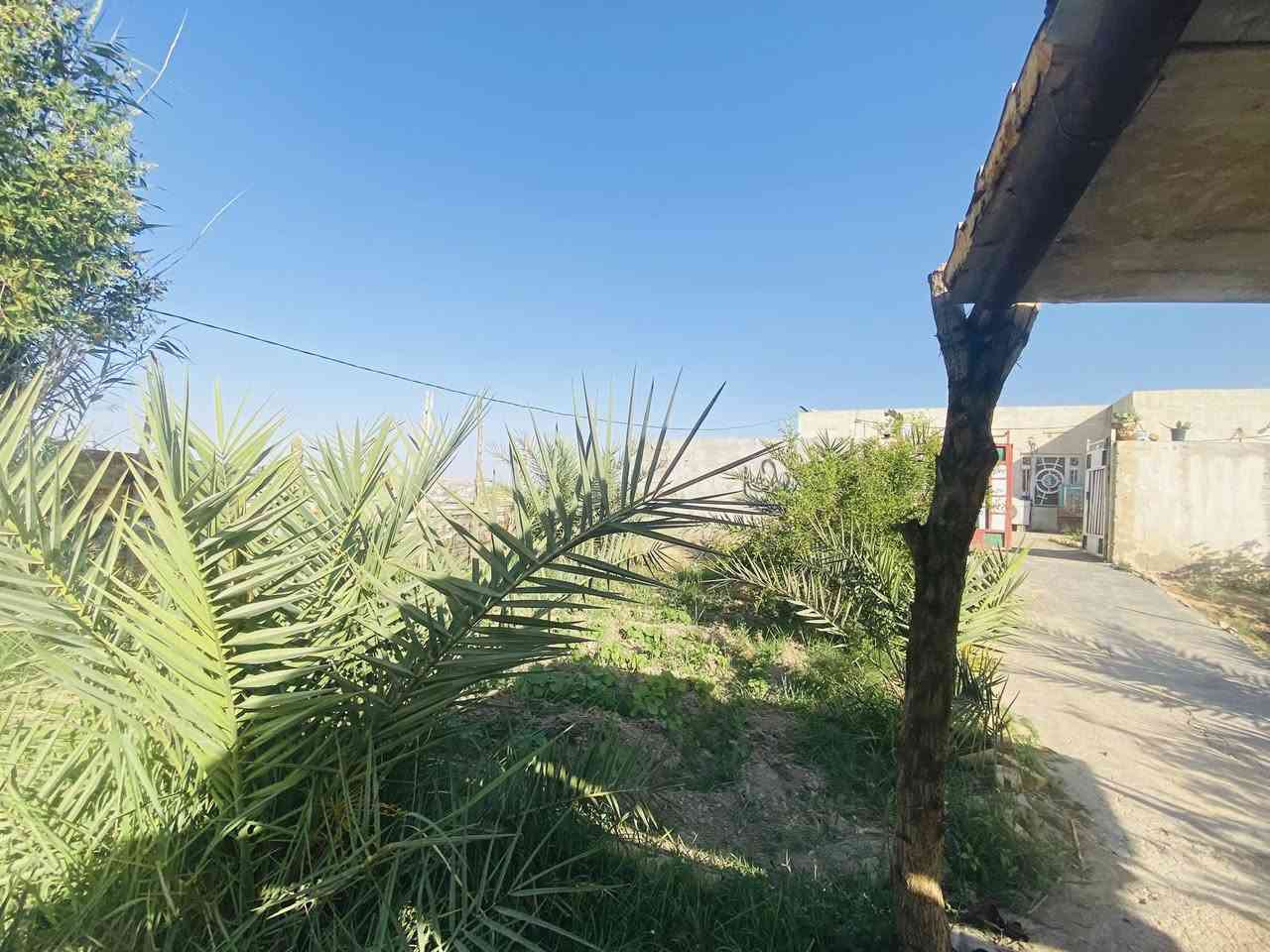 ارض مع دار للبيع المساحه الكليه 1250متر
يحتوي الدار على استقبال وصاله ومطبخ وغرفتين نوم وصحيات داخليه وخارجيه وكراج 

الارض مزروعه ومسيجه / يبعد 100 متر عن الشارع العام 

العنوان / النعمانيه / مثلث الكلابيين مقابل موكب السفينه

*********** 

السعر 70 مليون قابل للتفاوض
