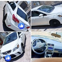 بايك 20 • ٢٠١٩ • البصرة