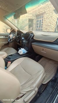 سورنتو • ٢٠١٤ • صبغ عام