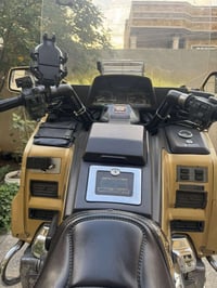 كولد وينك ٩١ • بدون صبغ • مسجل ٨٨