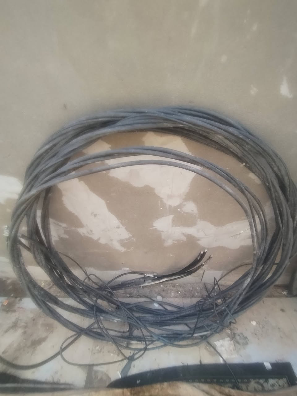 سلام عليكم ضفيره ثري فيز للبيع


**إذا كنت صاحب هذا الإعلان وتريد حذفه لأي سبب، رجاءا أرسل رسالة إلى الدعم الفني**