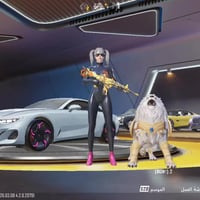 الرمادي • حساب مرتب • قفله