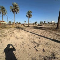 ١٥٠٠م • طابو زراعي • سند٢٥