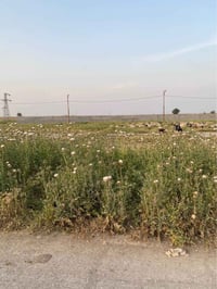 حي البدر كركوك • ٢٠٠م