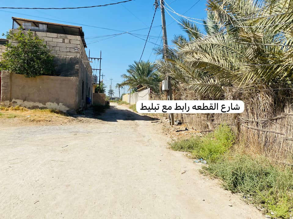 السلام عليكم قطعة للبيع مساحة 200 متر سند 25 
ترهم تنباع على 100 ب100 عنوان كربلاء طويريج جدول الغربي صدور العيوج خلف مشروع الماء الاستفسار ***********
