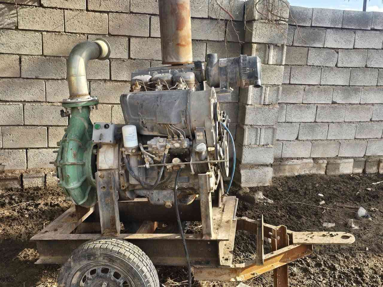 للبيع دويز حلواني ٣بستم خنزيره ٤×٥ ***********
#
