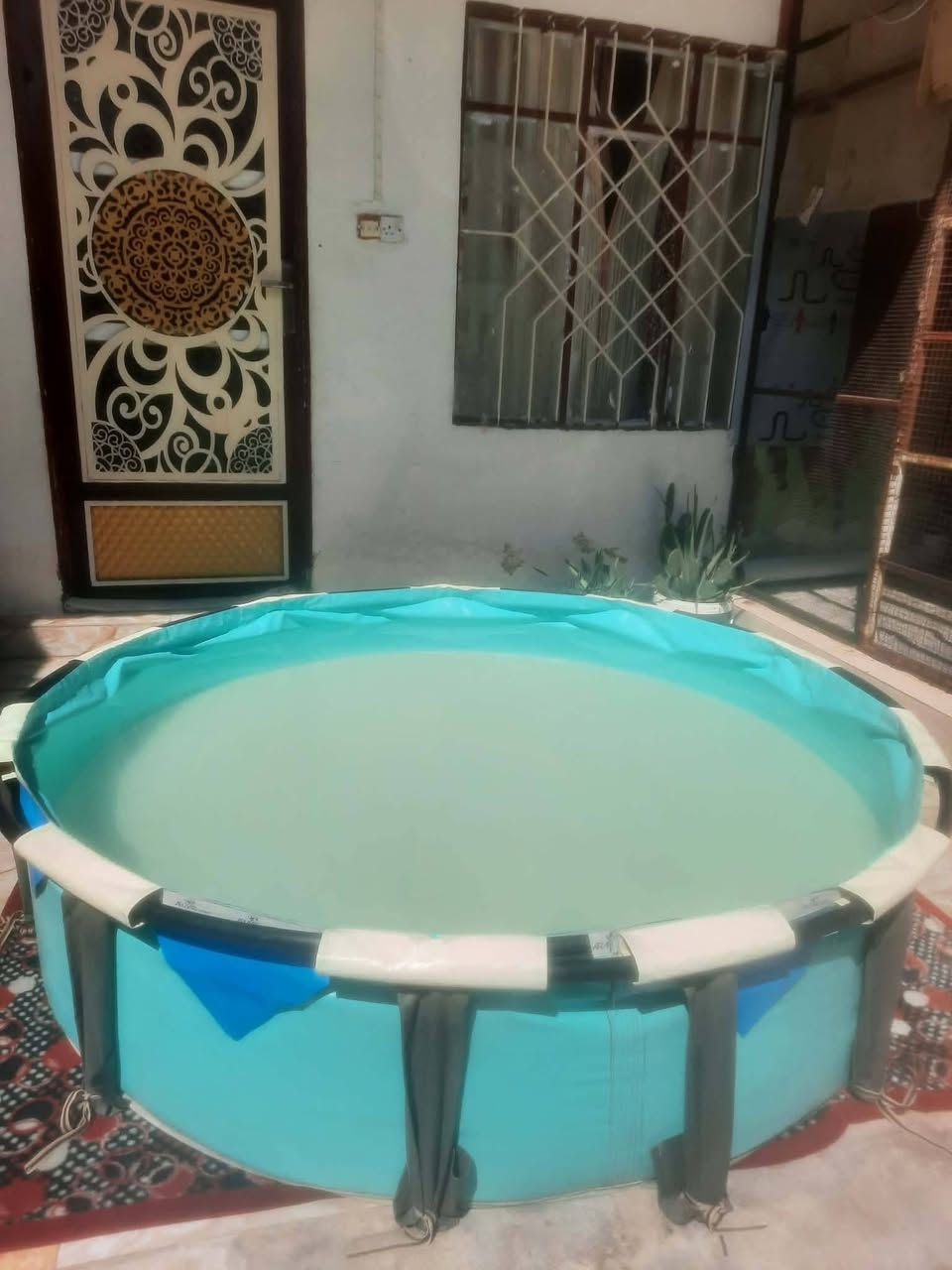 مسبح البيع ***********
