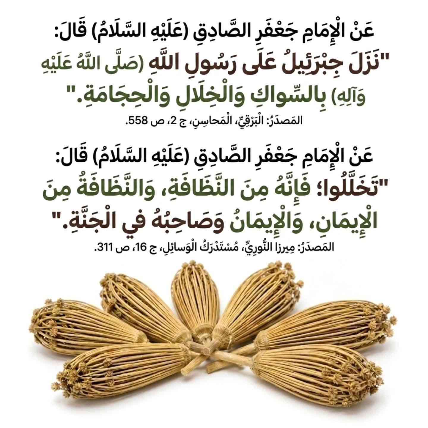 🌱 نبات خلال الاسنان 

🌿 فوائد خلال الأسنان الطبيعي 🌿

✍️ التخلّل بعد الطعام ليس مجرد عادة، بل هو سُنّة نظافة أكّدتها أحاديث محمد وآلـﷺـه، لما له من أثر مباشر على صحة الفم والأسنان.

✨ فوائد الخلال كما تشير إليها الأحاديث:

▪️ تنقية الفم من بقايا الطعام
«المتخلّلون من الطعام» → أي إزالة ما يبقى بين الأسنان

▪️ الوقاية من الروائح الكريهة
فإن بقاء الطعام في الأسنان يُفسد الفم ويؤذي صاحبه

▪️ تقوية اللثة والأسنان
التخلّل المنتظم يحافظ على صحة الأضراس ويمنع التراكمات الضارة

▪️ جزء من النظافة والإيمان
«تخللوا فإنه من النظافة، والنظافة من الإيمان»

▪️ سُنّة مؤكدة في العناية بالفم
«نزل عليّ جبرئيل بالسواك والخلال والحجامة»

📦 الوزن: 25 غم
💰 السعر1250 دينار


**إذا كنت صاحب هذا الإعلان وتريد حذفه لأي سبب، رجاءا أرسل رسالة إلى الدعم الفني**