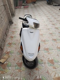 فراشه نثيه • شغاله • نقصها باتري