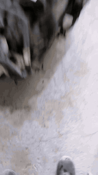 تم وصول محركات ماليبو العنوان النجف الاشرف حي الصناعي مقابل اعداديه الصناعه الاتصال على الرقم ***********
