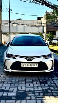 كورلا • ٢٠٢٠ • رقم اربيل