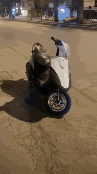 سلام عليكم دراجة فورزة 06 ما عوزها شي دراجة حلوة كدام عينك  ه‍*********** ودراجة ماكس عدلة  نفس ما شوف دراجة خير من اللة بغداد الشعب
