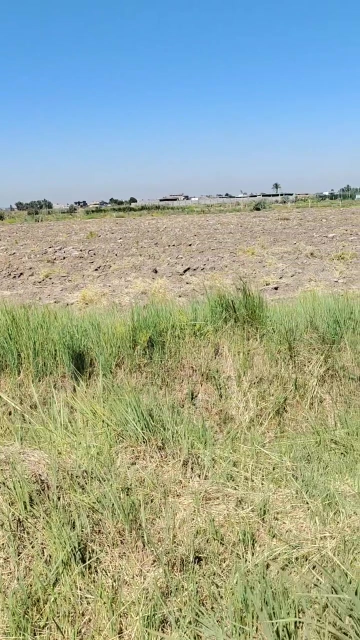 السلام عليكم دونم للبيع خلف سيد محيل الوجه ٣٠ انزال٨٤ السعر ٣٠ وبي مجال لشراي لطلب اتصال *********** وبي واتساب
