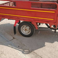 ستوتة • بلحمزة الغربي • بدون أوراق