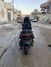 دراجة سكنس • بصمة • بابل اسكندرية