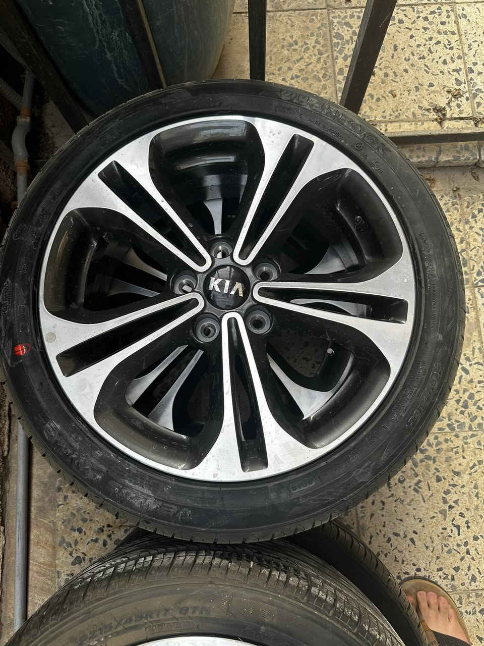 للبـيع
تخم ويل كب واحد منهن منازل يعني (مقدس) حجم 17


**إذا كنت صاحب هذا الإعلان وتريد حذفه لأي سبب، رجاءا أرسل رسالة إلى الدعم الفني**