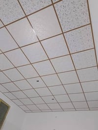 البصرة • دهانات • اسقف ثانوية