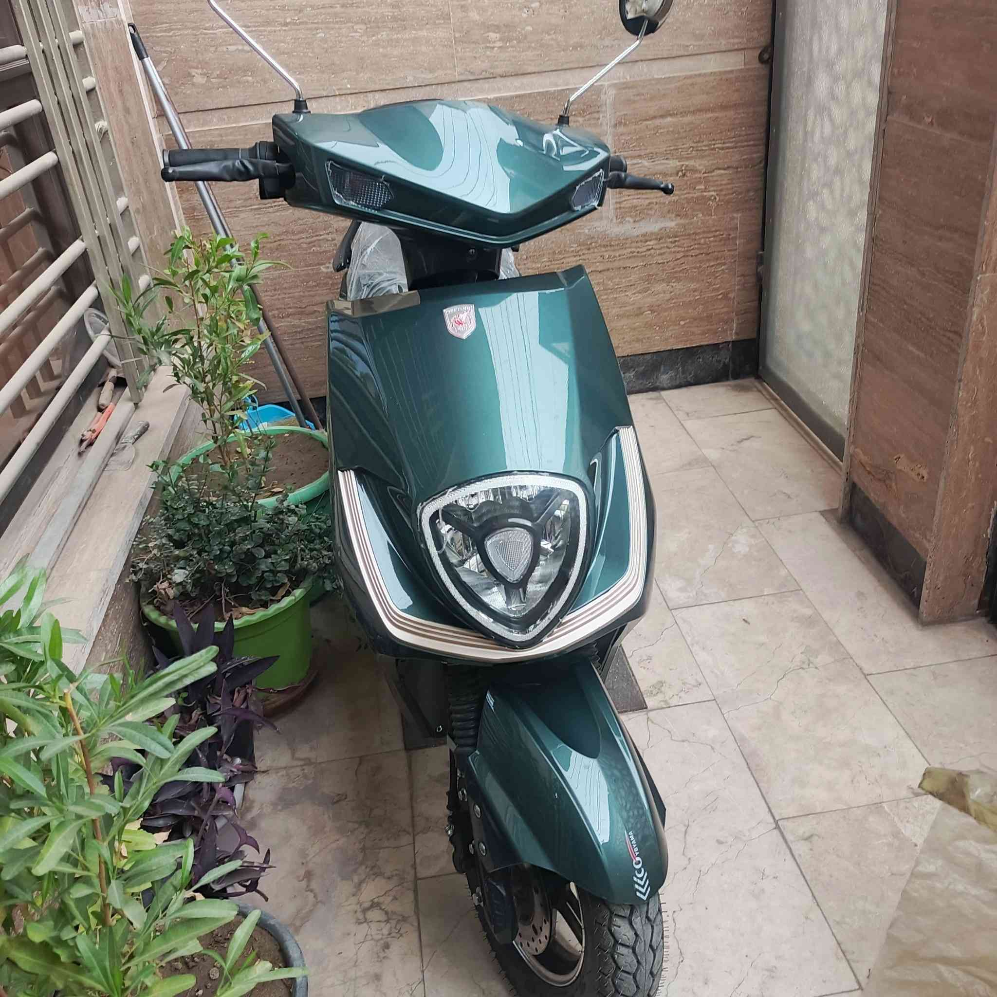 من رخصة الأدمن........
عندي دراجة شحن جديدة وبيها مواصفات مثل نظام الرجوع الى الخلفR ونظام 3سرع ورايدها 750 للجادين فقط ورقم الهاتف ***********
