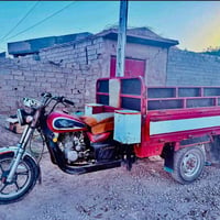ستوته • ٢٠١٦ • بدون أوراق