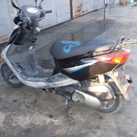 بريز ببغاء نوزل للبيع صارلها تقريبآ شهر أو أقل من نازل رمبه دراجه مال ...