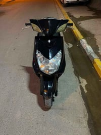 سكنس فحل • نوزل خطين • ياباني