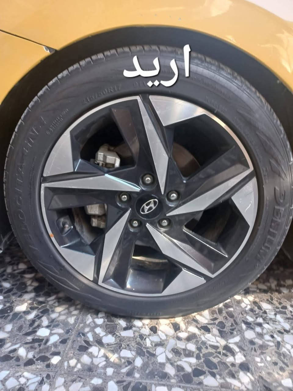 سلام عليكم عندي تخم ويل النترا حجم ١٥ اصلي مكاني الديوانيه عفك


**إذا كنت صاحب هذا الإعلان وتريد حذفه لأي سبب، رجاءا أرسل رسالة إلى الدعم الفني**
